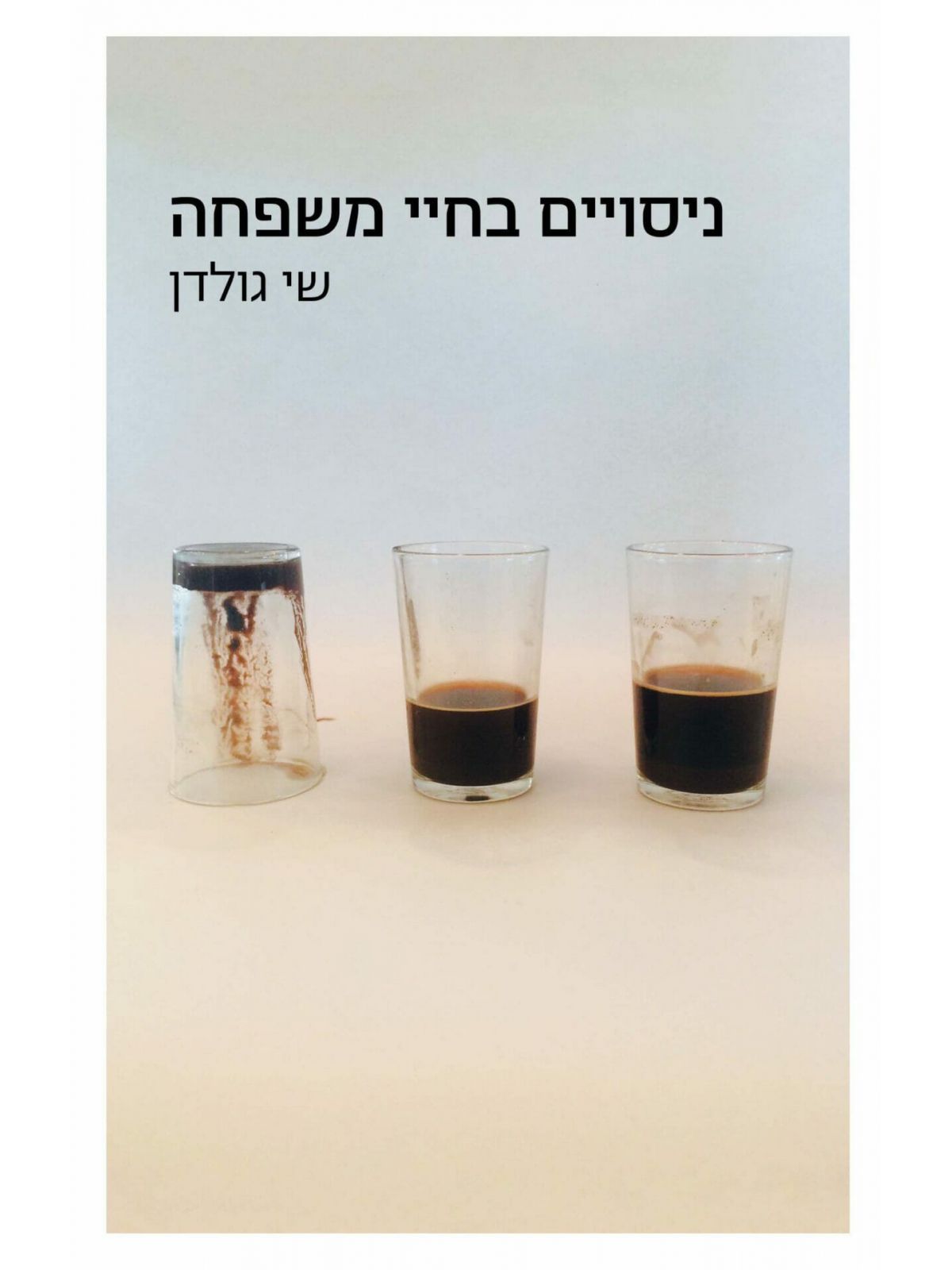 ניסויים בחיי משפחה