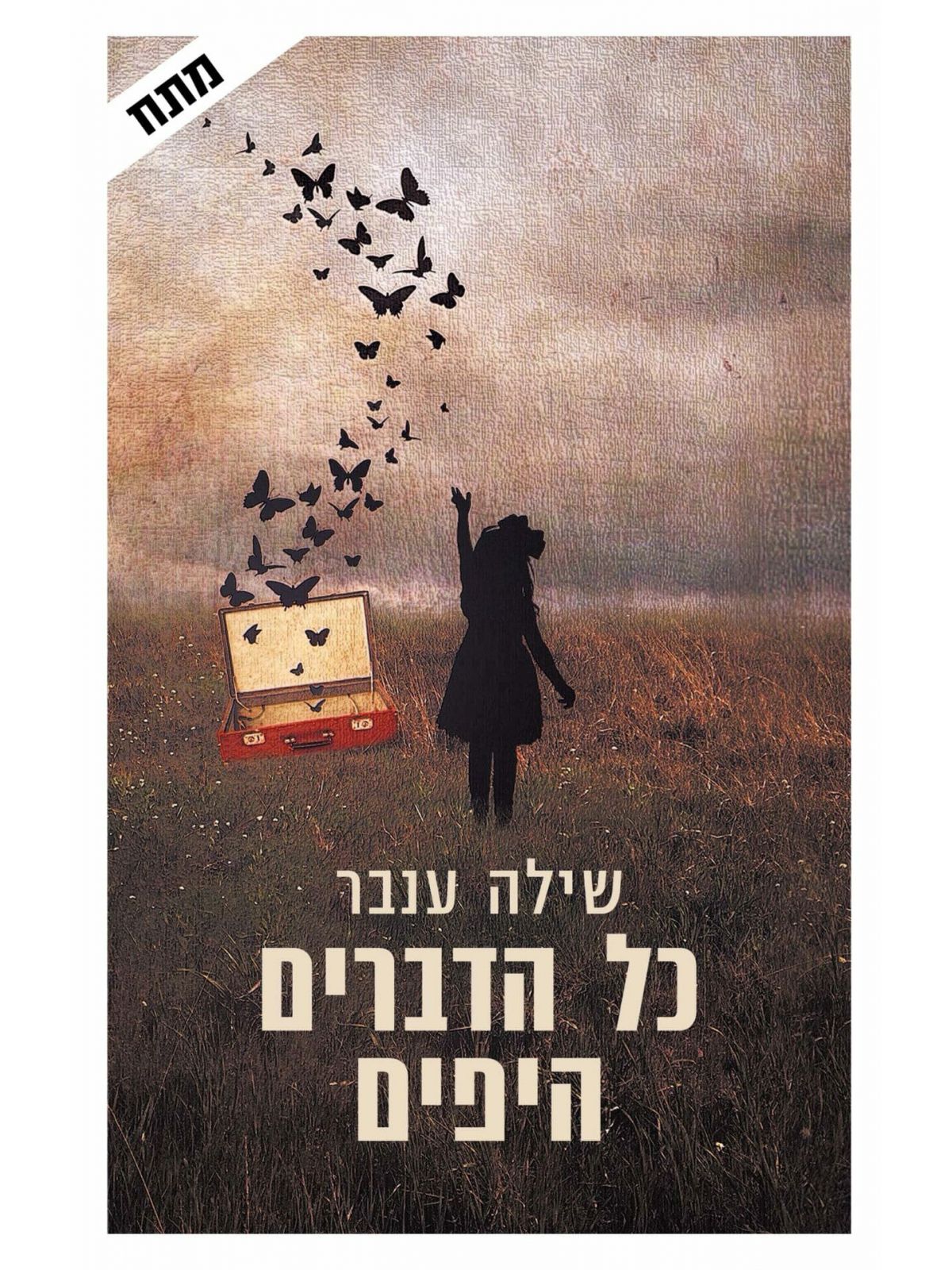 כל הדברים היפים / שילה ענבר