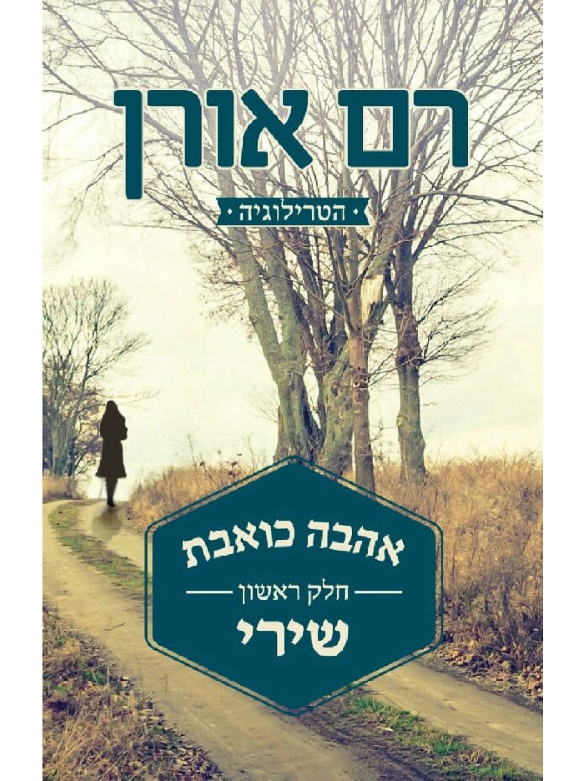 אהבה כואבת חלק ראשון שירי