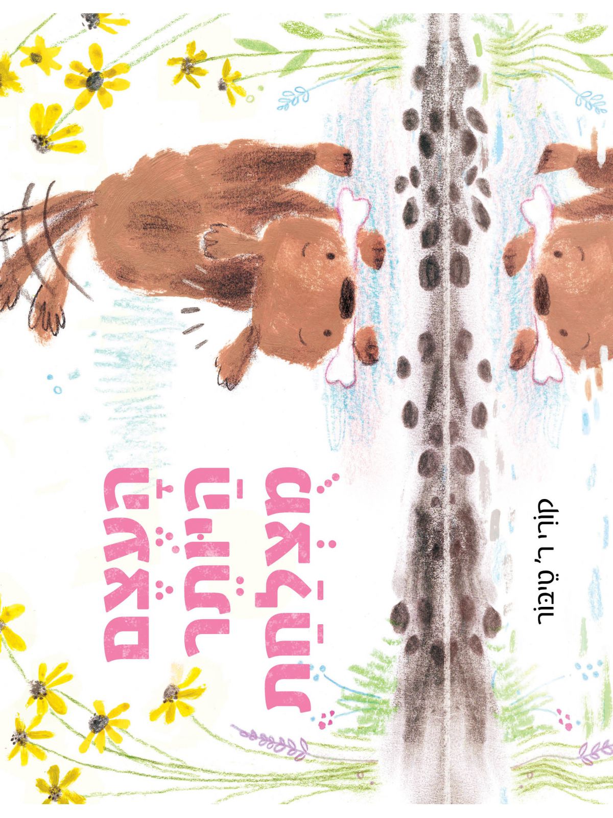 העצם היותר מצלחת