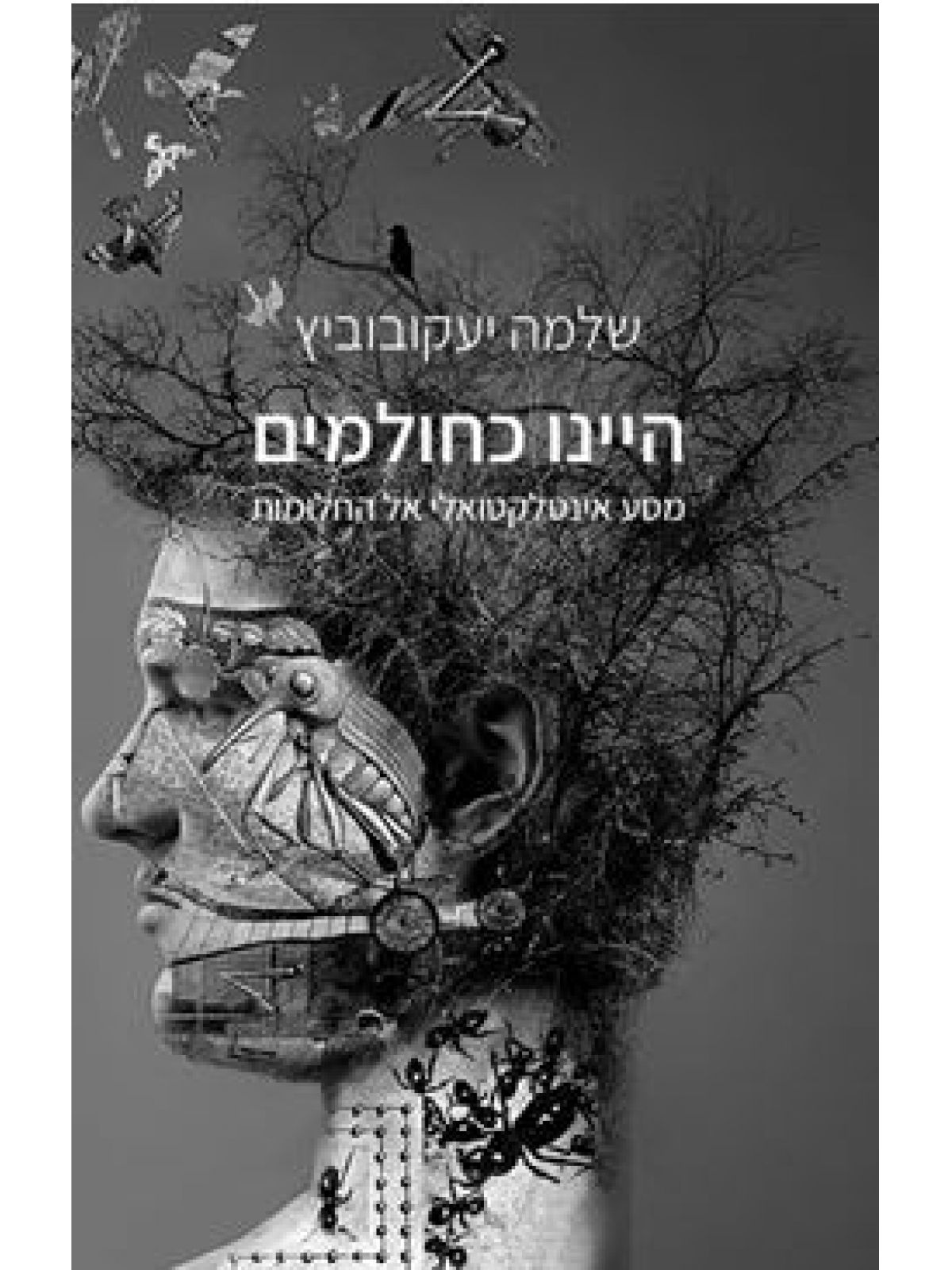 היינו כחולמים