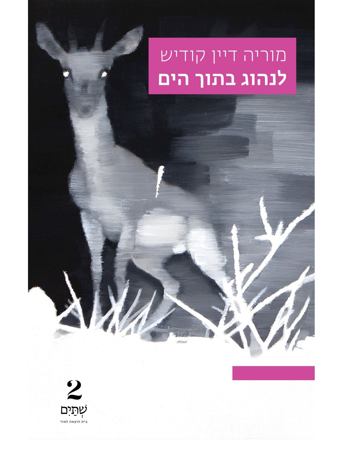 לנהוג בתוך הים