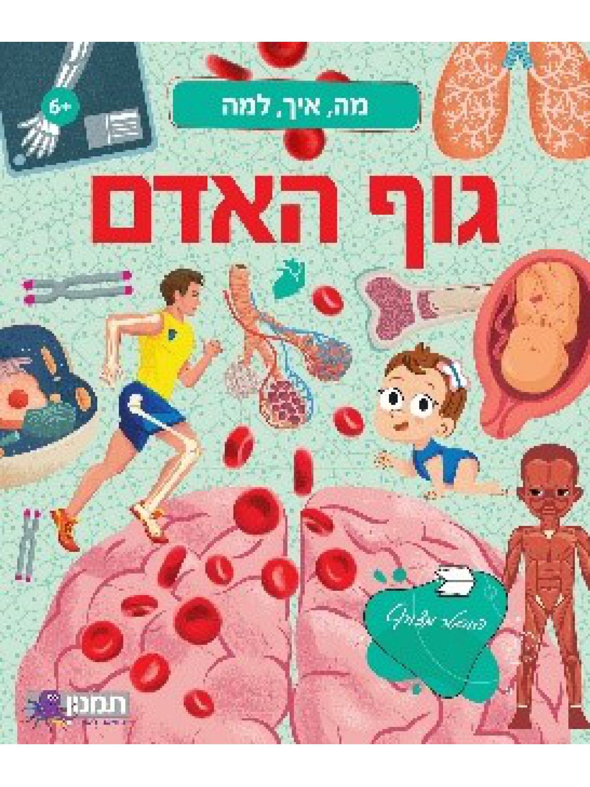 מה איך למה גוף האדם