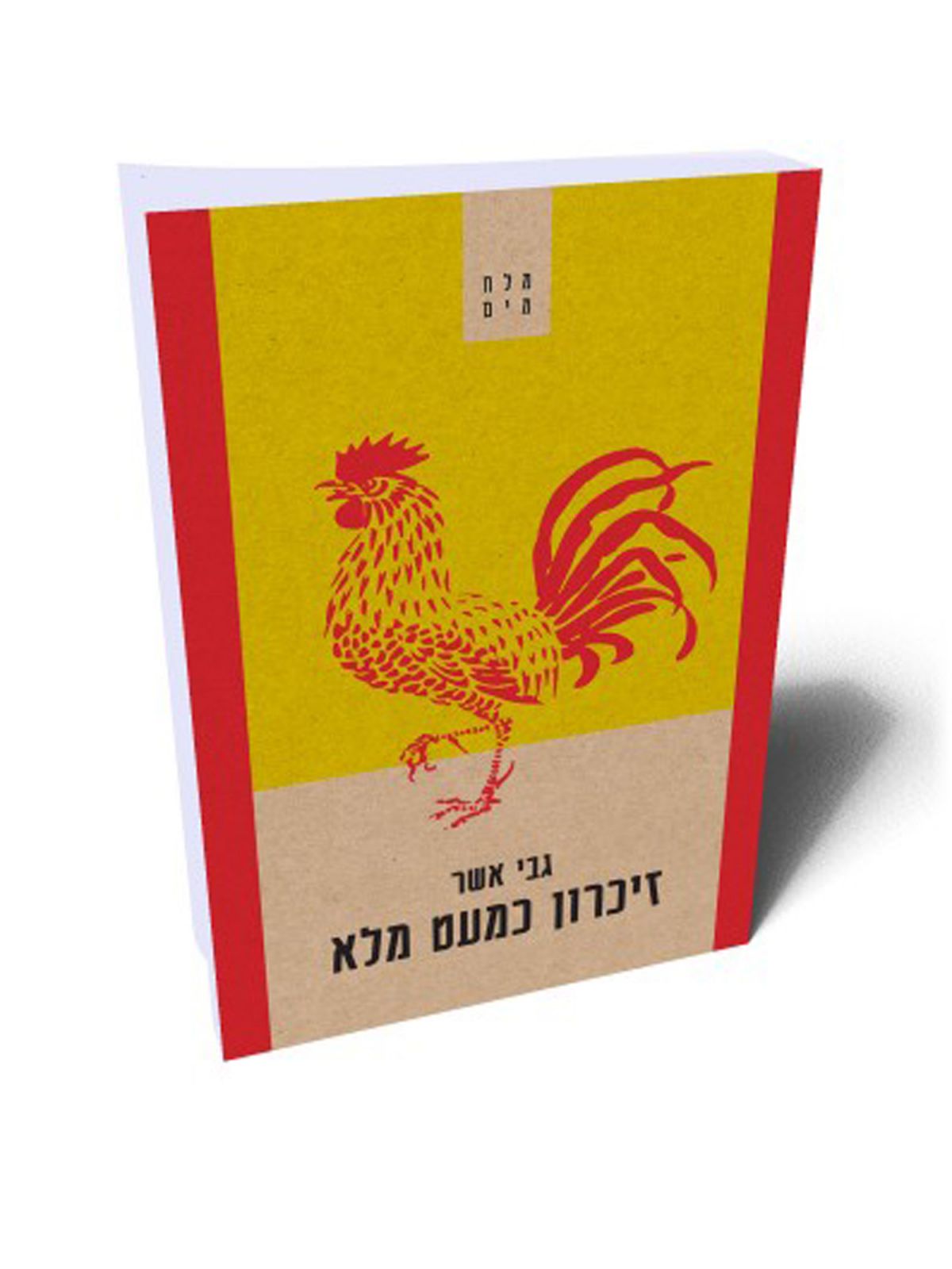 זיכרון כמעט מלא