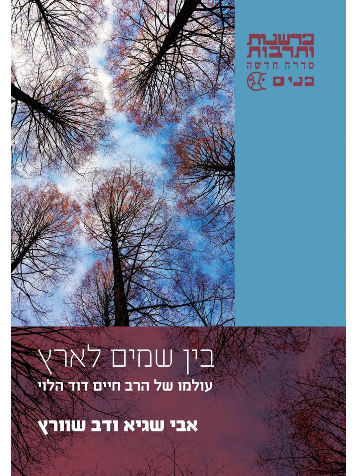 בין שמים לארץ