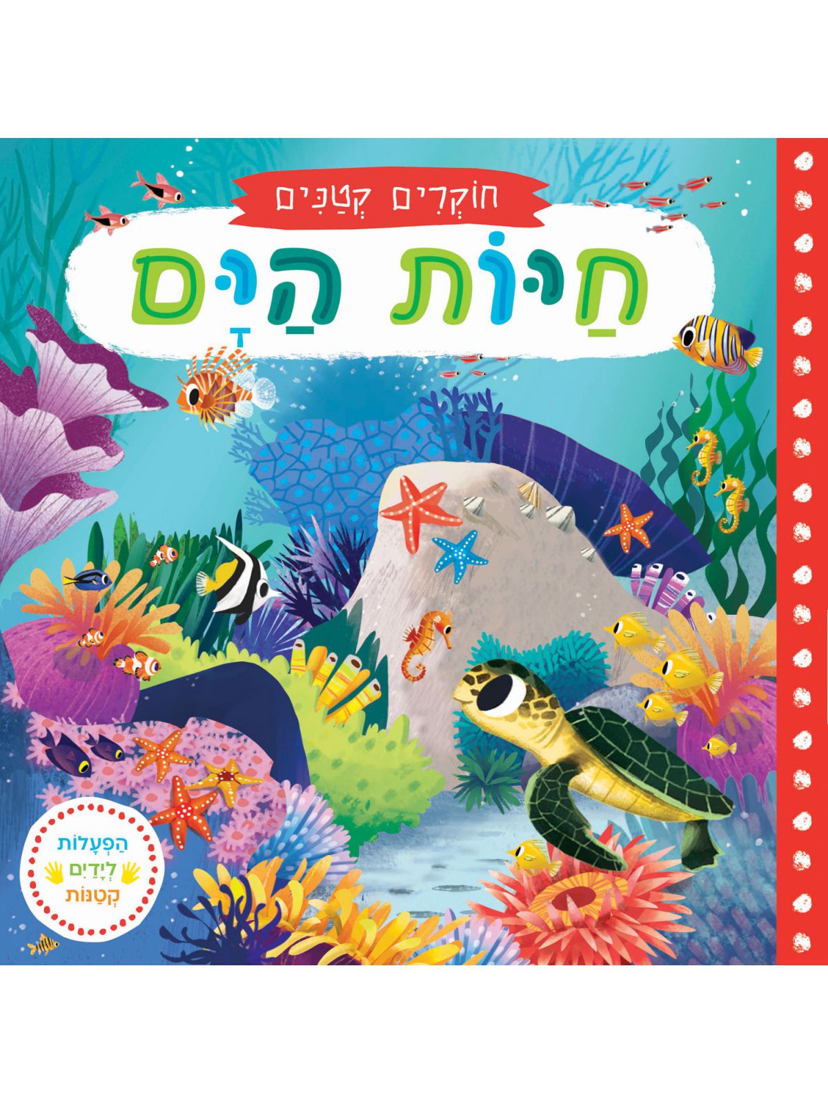 חיות הים חוקרים קטנים