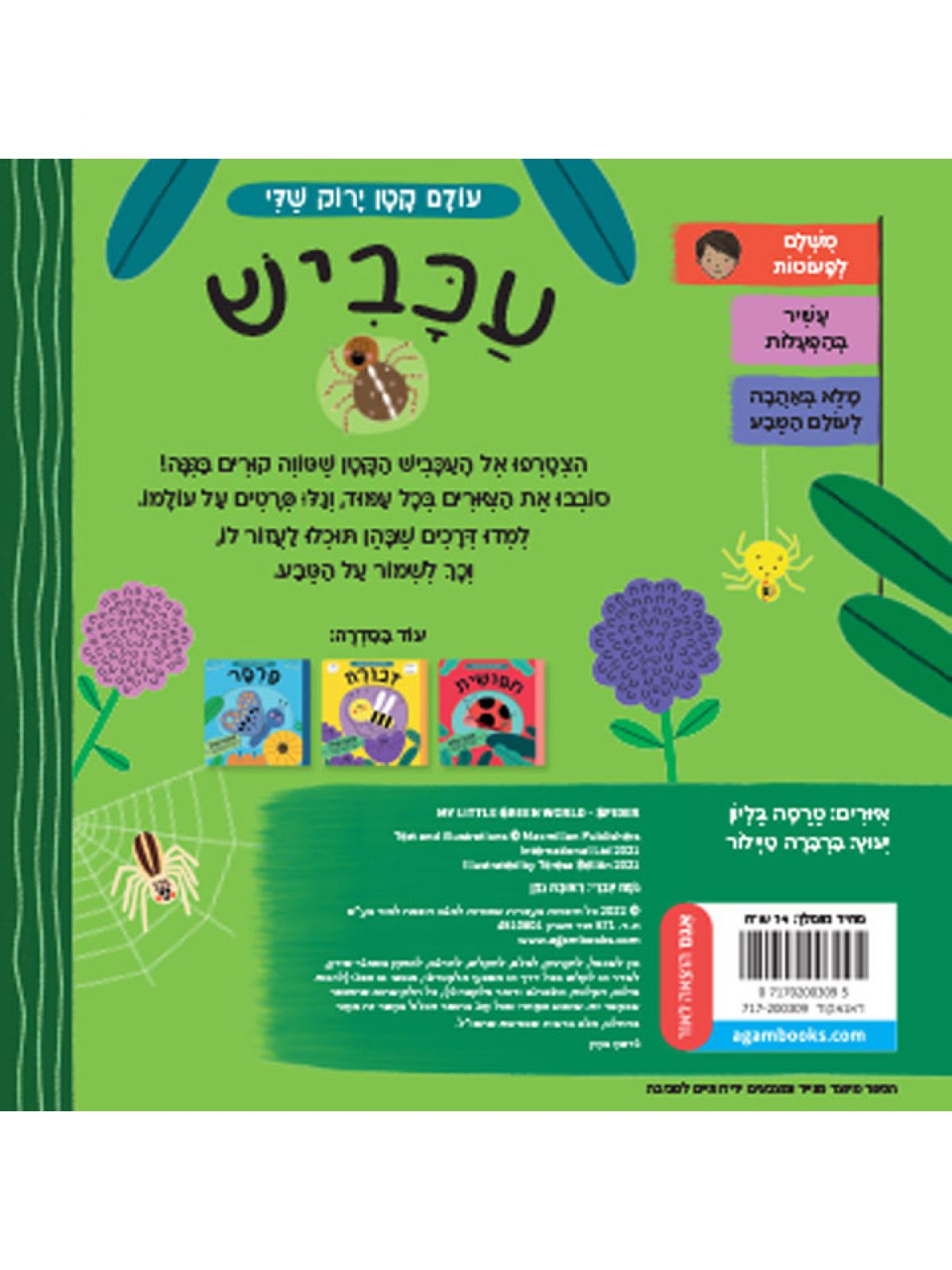 עולם קטן ירוק שלי עכביש