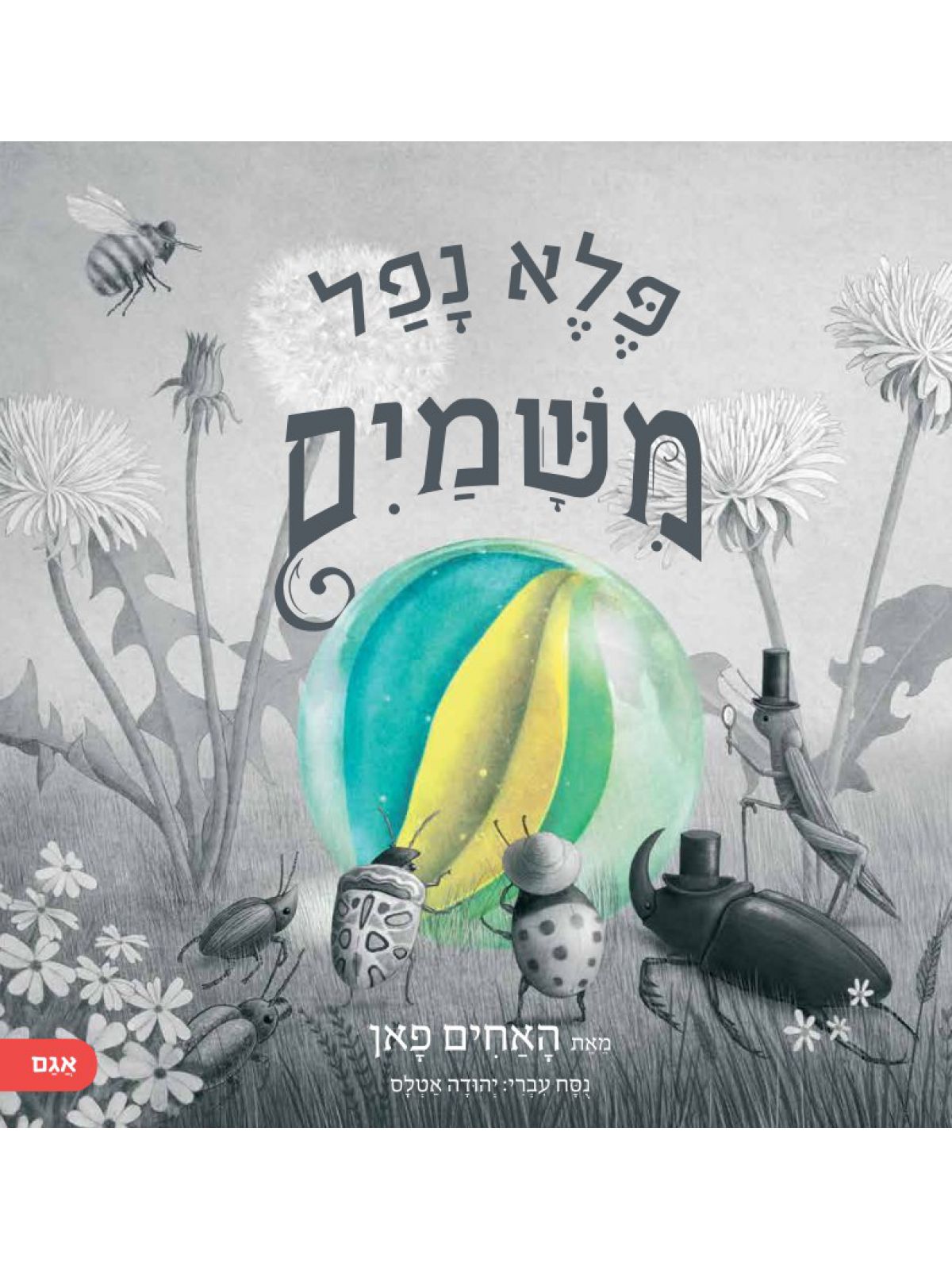 פלא נפל משמים