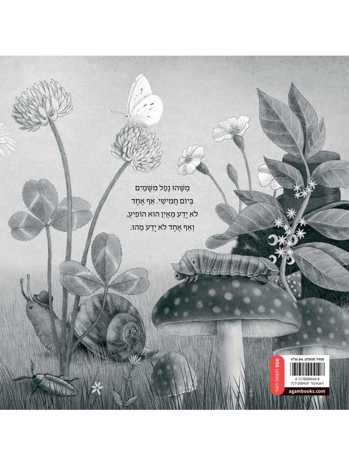 פלא נפל משמים