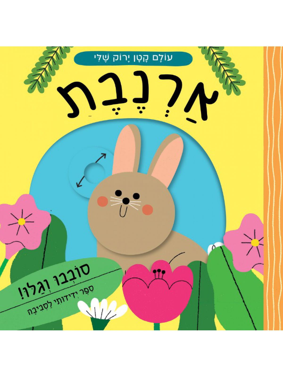 עולם קטן ירוק שלי ארנבת