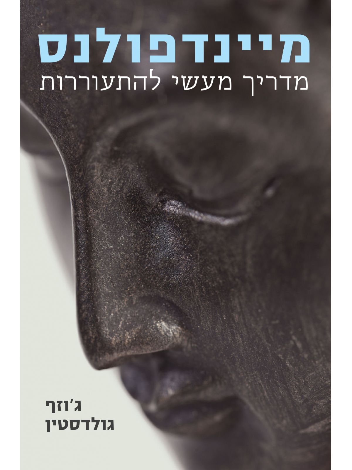 מיינדפולנס מדריך מעשי להתעוררות