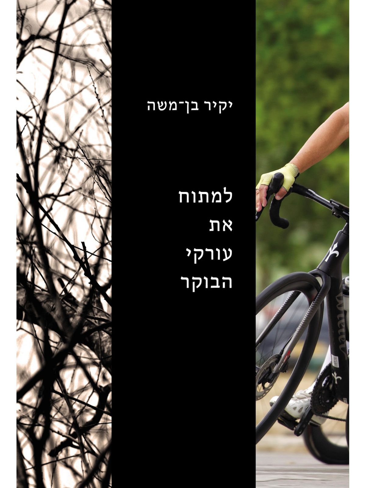 למתוח את עורקי הבוקר