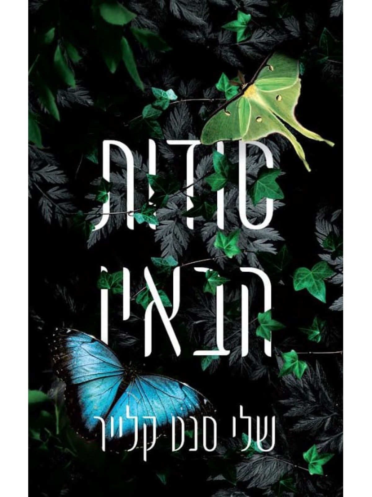 סודות הבאיו