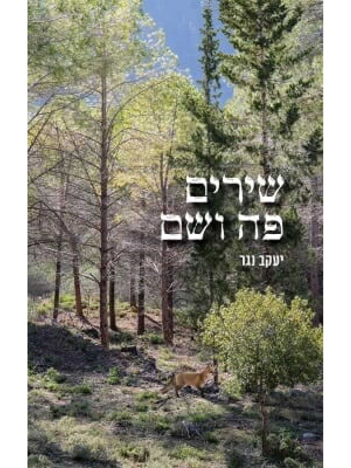 שירים פה ושם