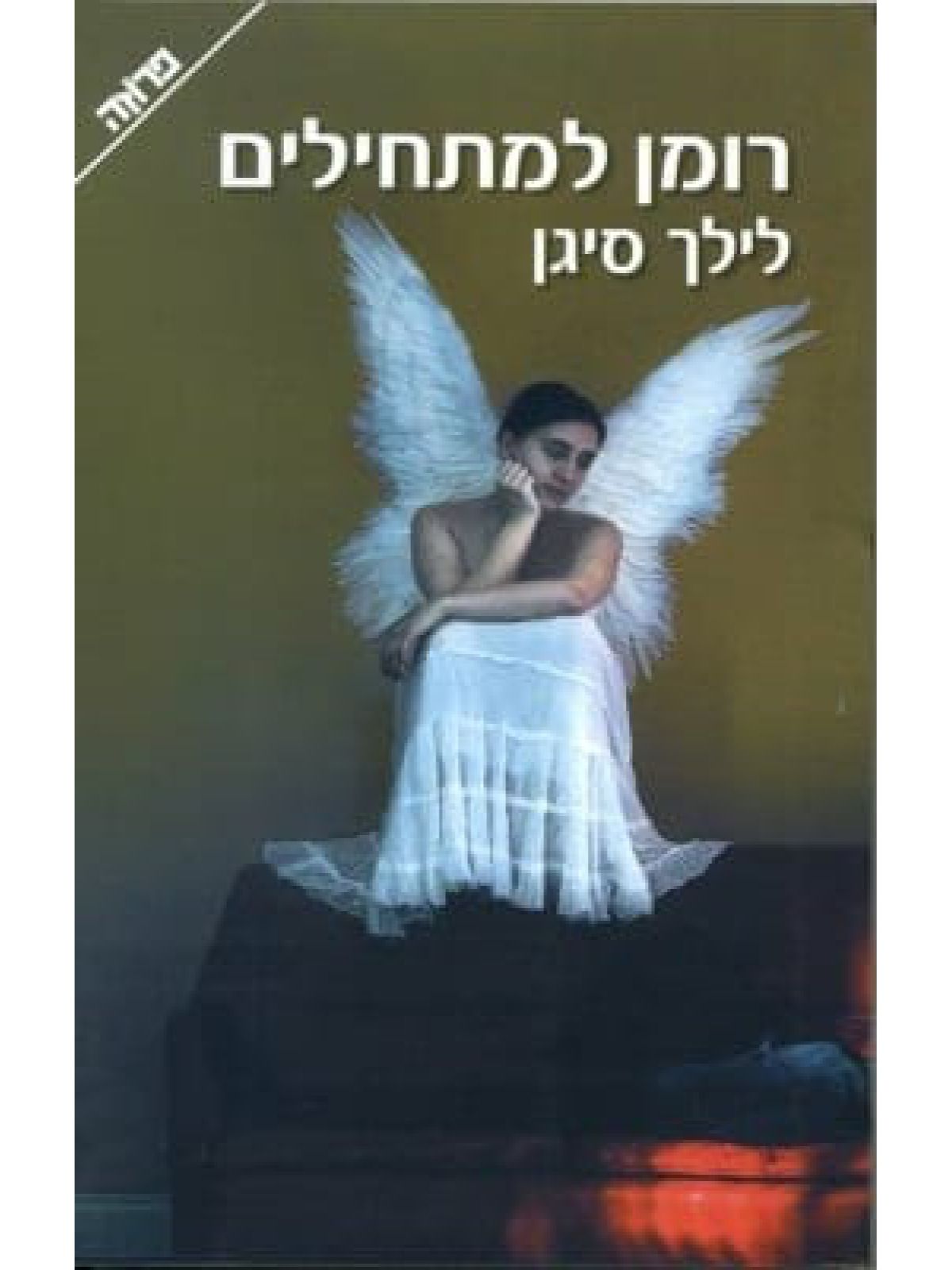 רומן למתחילים