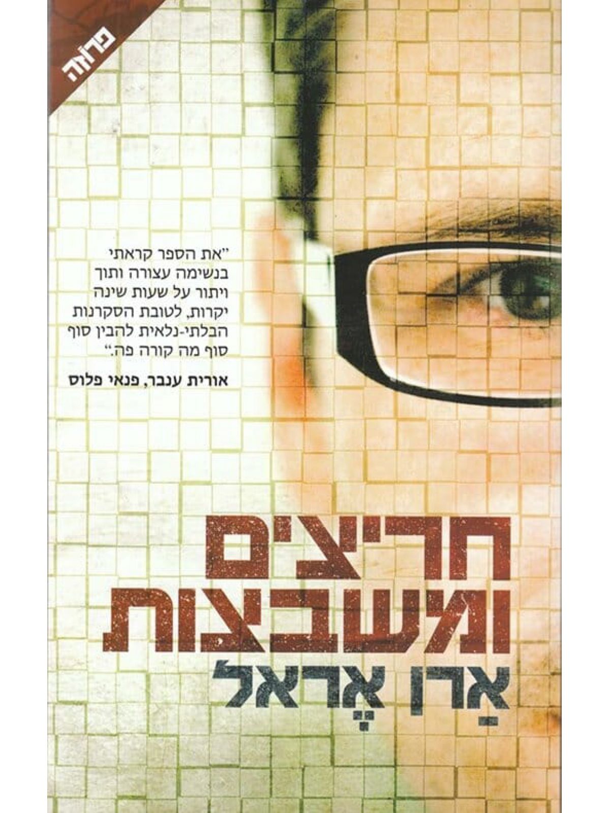 חריצים ומשבצות