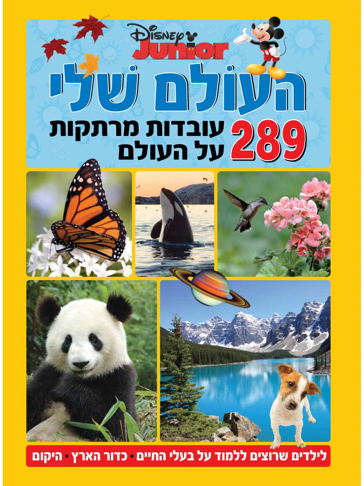 העולם שלי 289 עבדות מרתקות על העולם