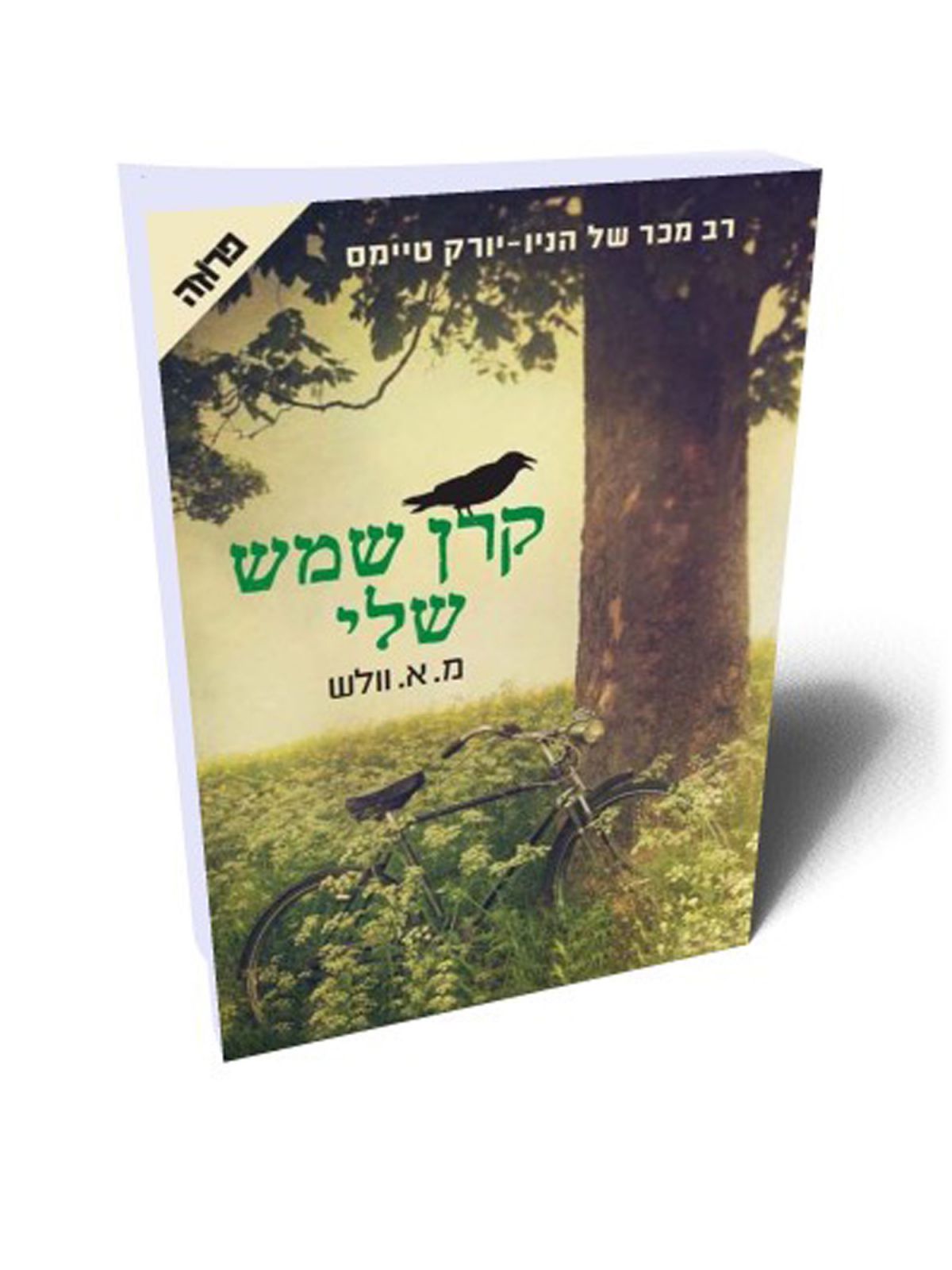 קרן שמש שלי