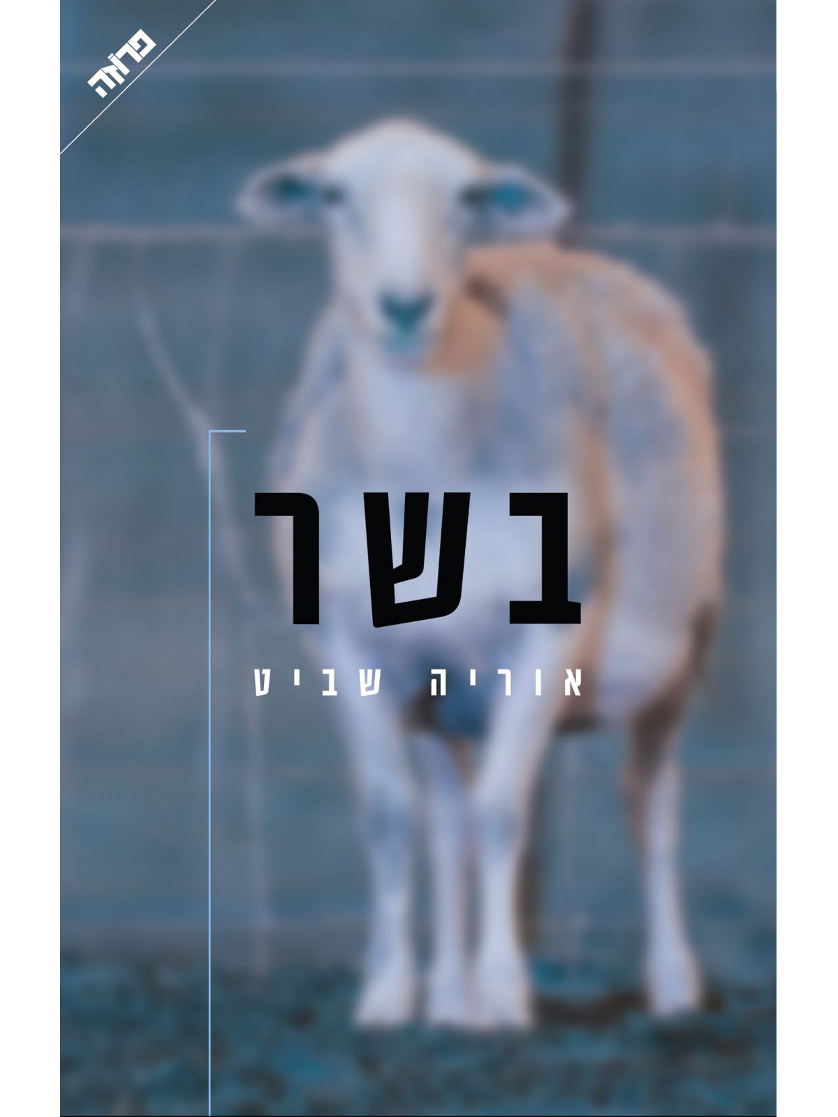 בשר