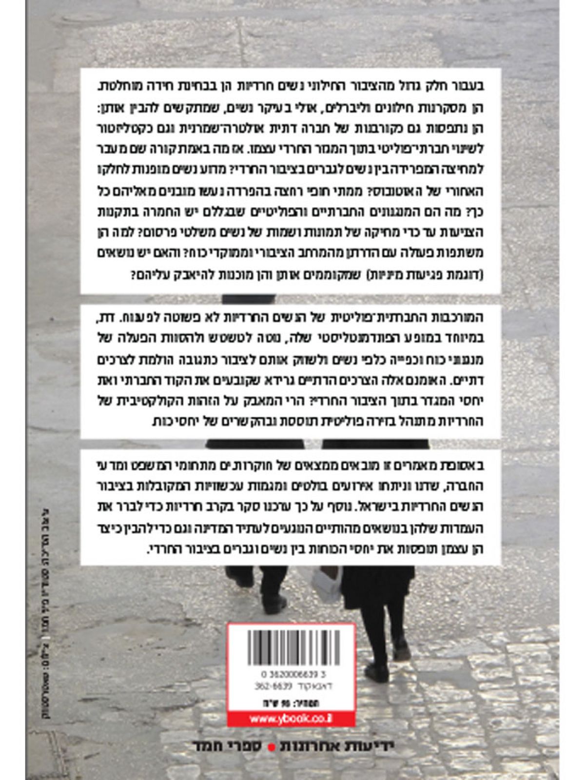 מעבר למחיצה  חרדיות  כוח ופוליטיקה