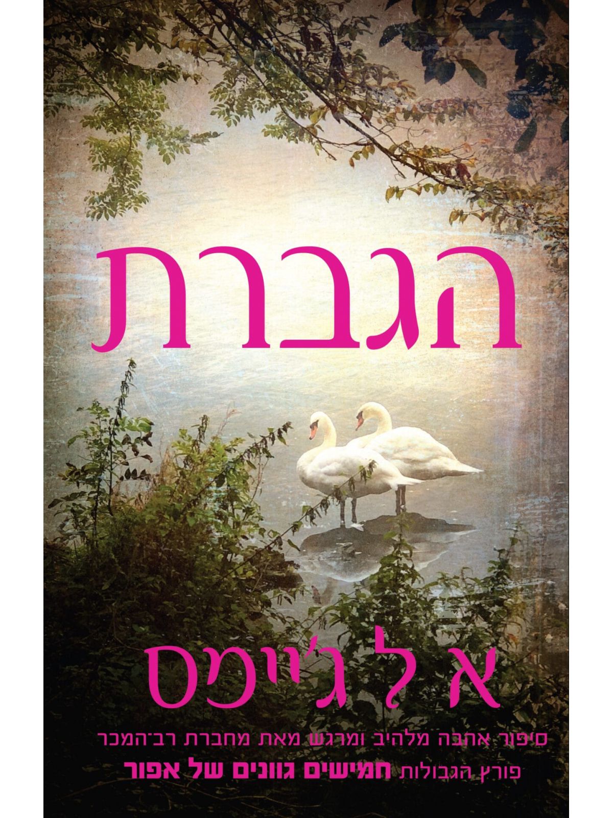 הגברת 2 האדון 2