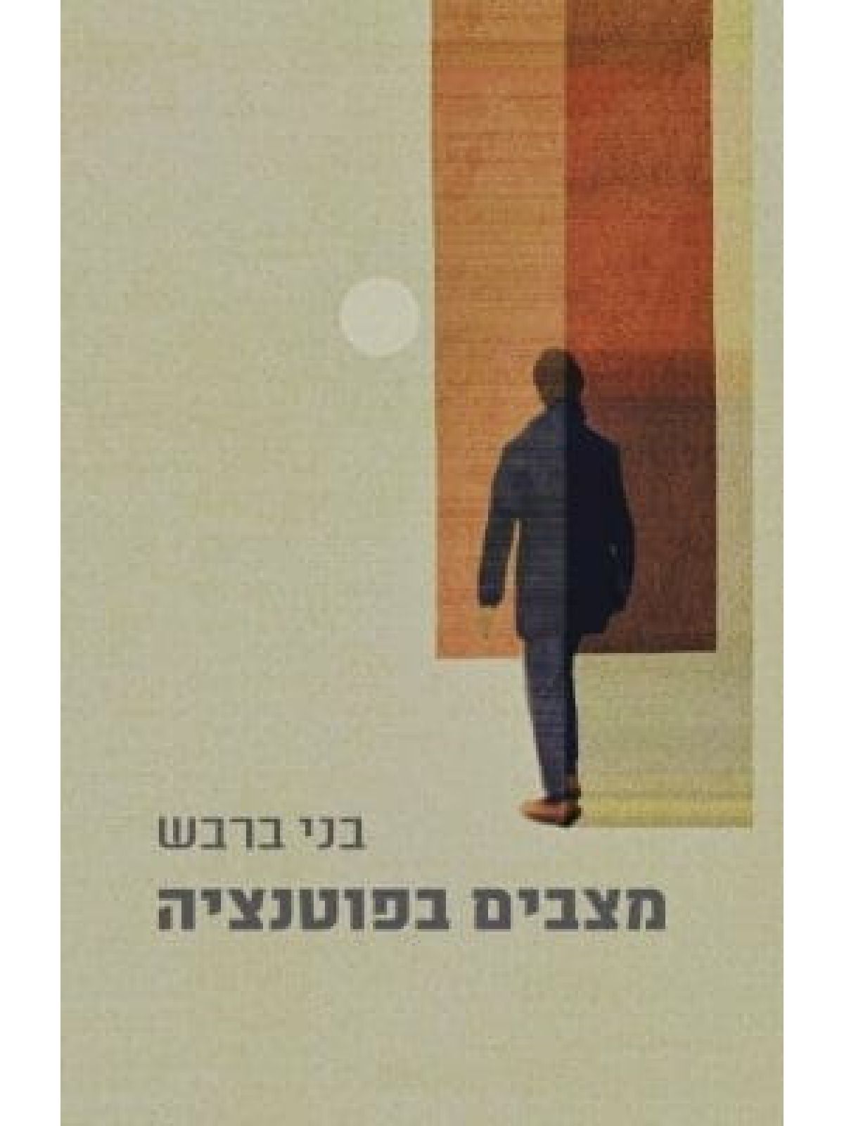 מצבים בפוטנציה