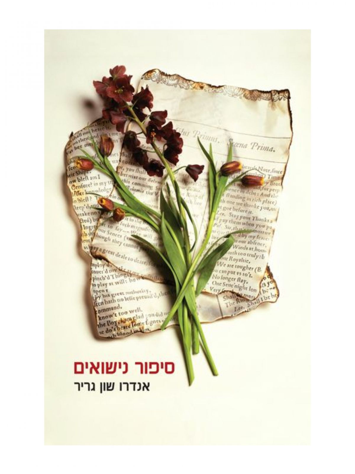 סיפור נישואים