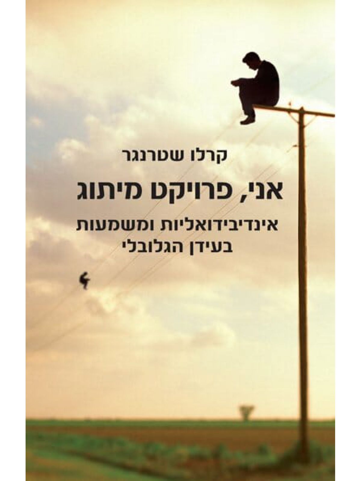 אני  פרויקט מיתוג