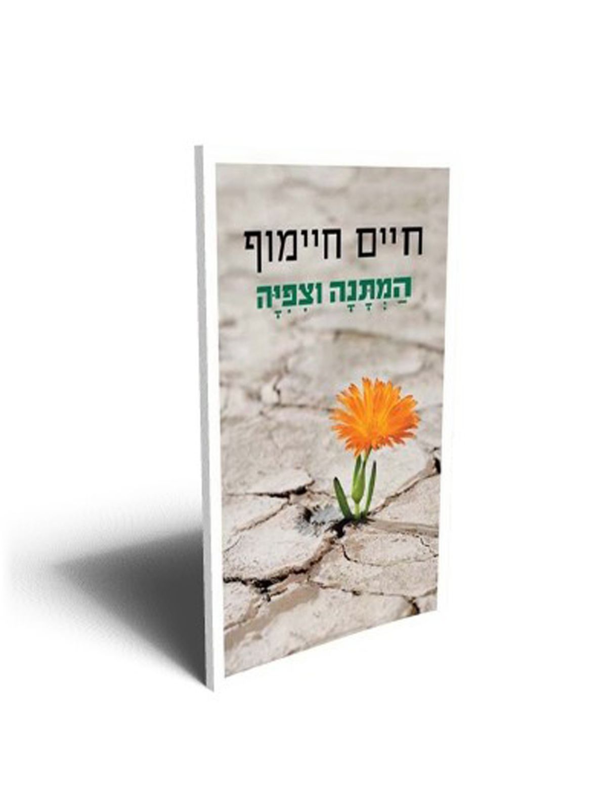 המתנה וצפיה