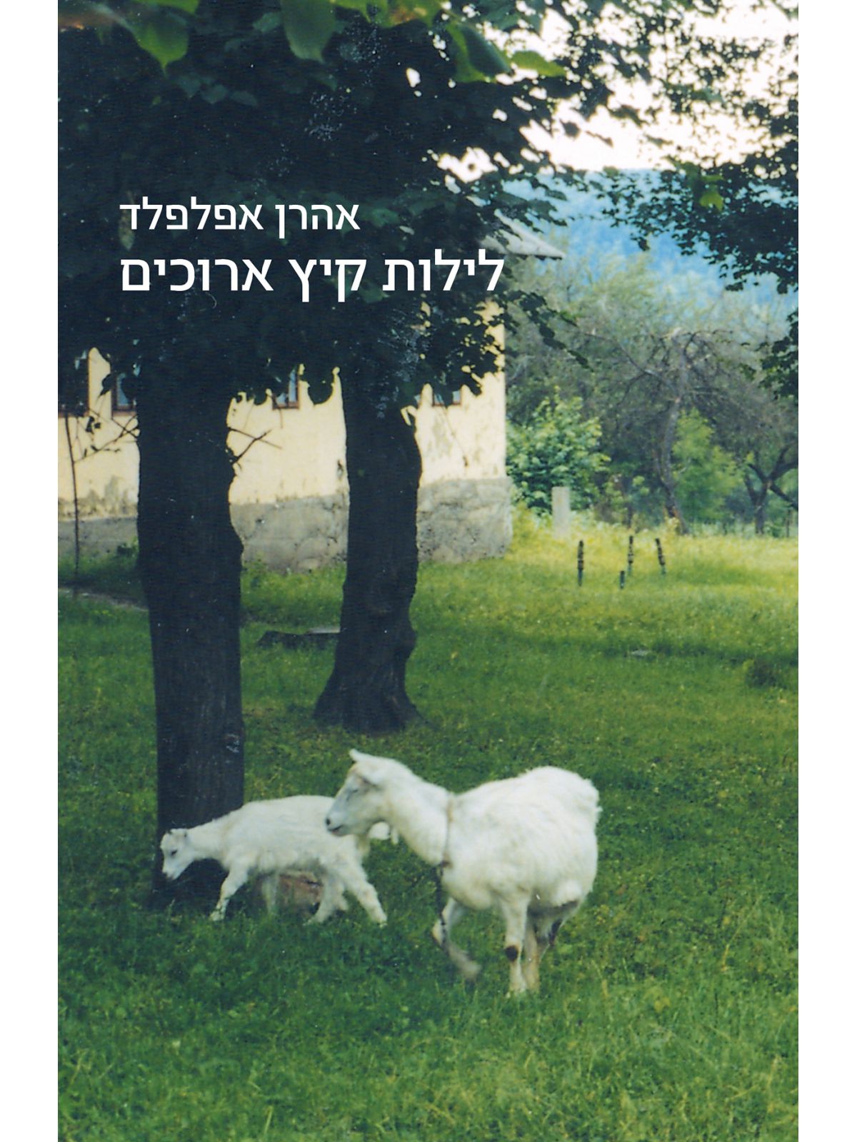 לילות קיץ ארוכים