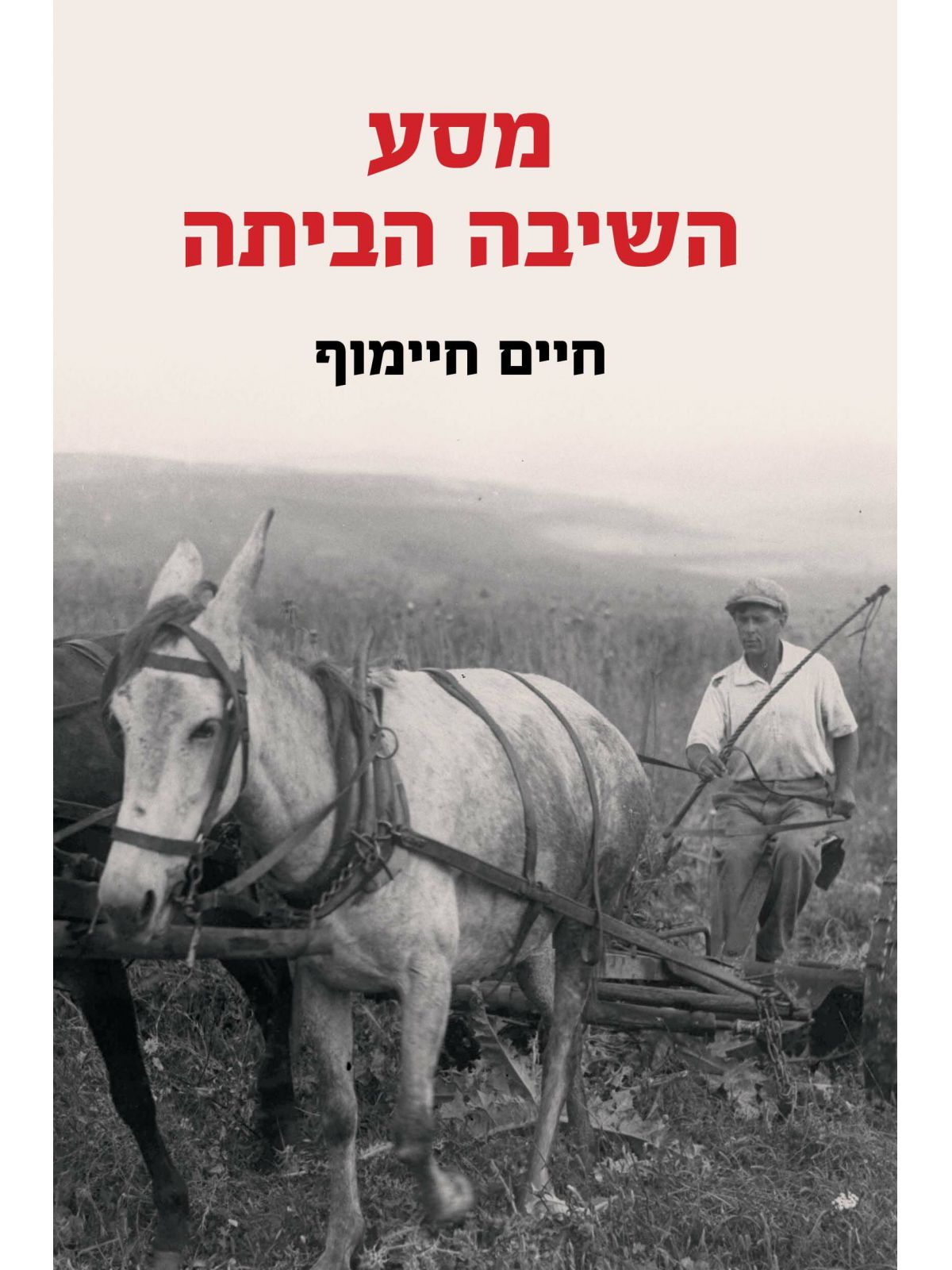 מסע השיבה הביתה