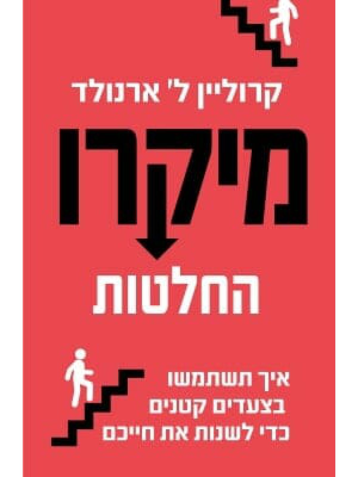 מיקרו החלטות