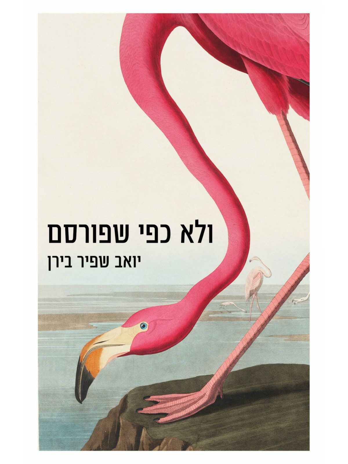 ולא כפי שפורסם