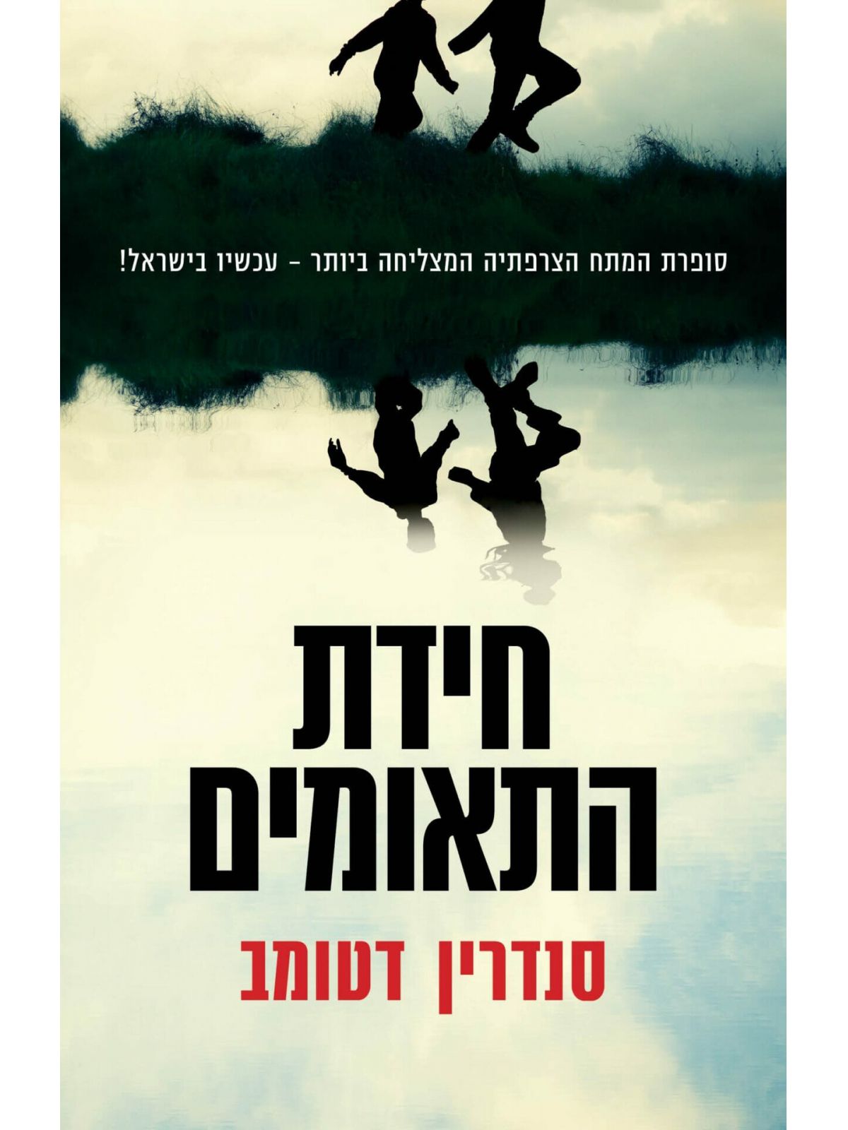 חידת התאומים