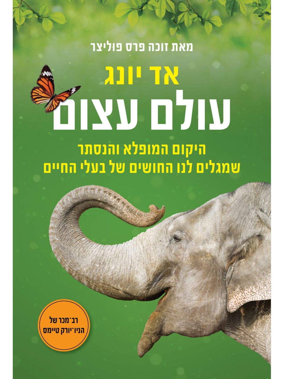 עולם עצום