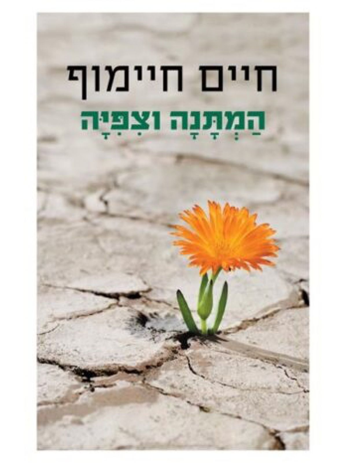 המתנה וציפייה