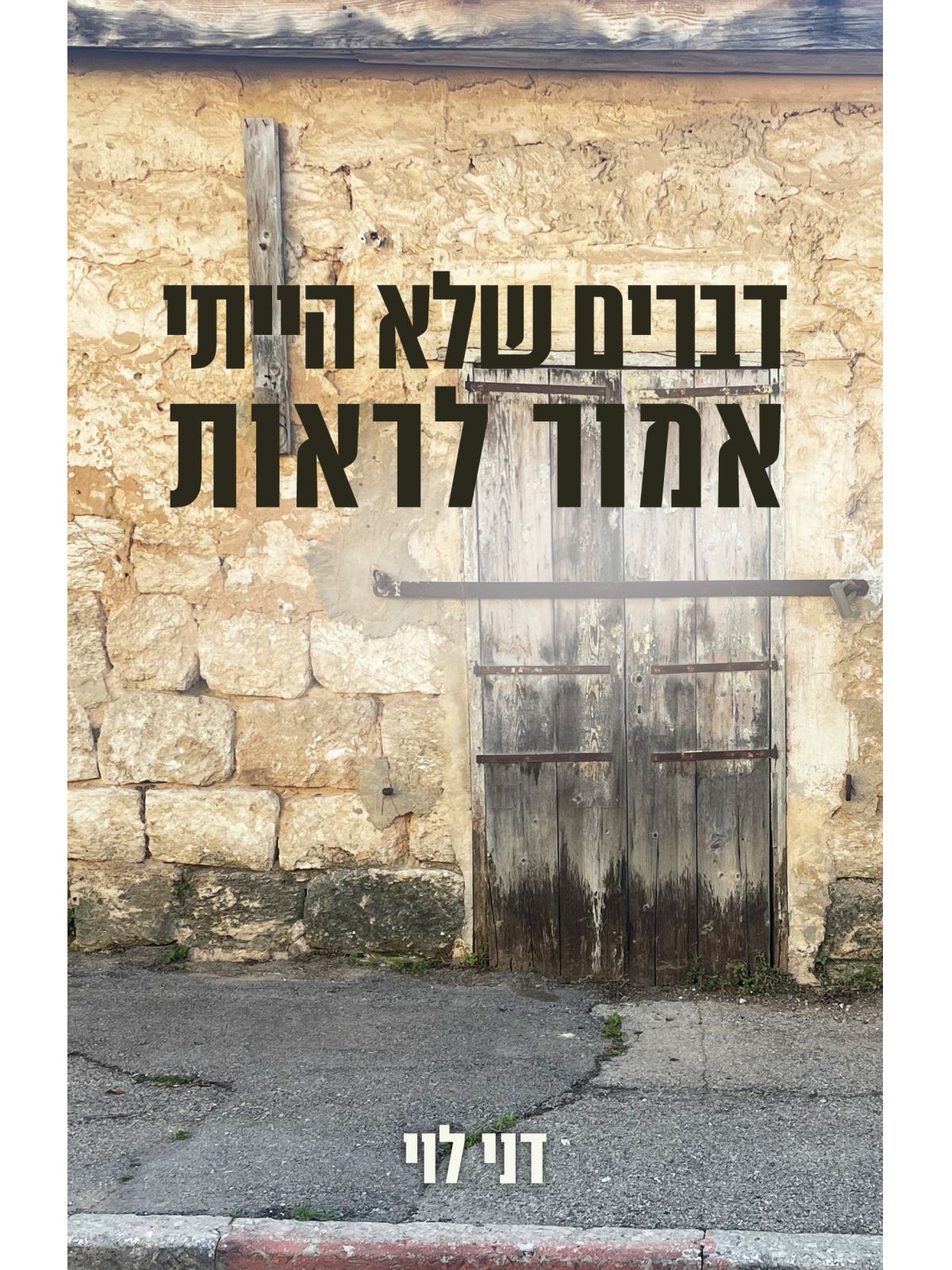 דברים שלא הייתי אמור לראות