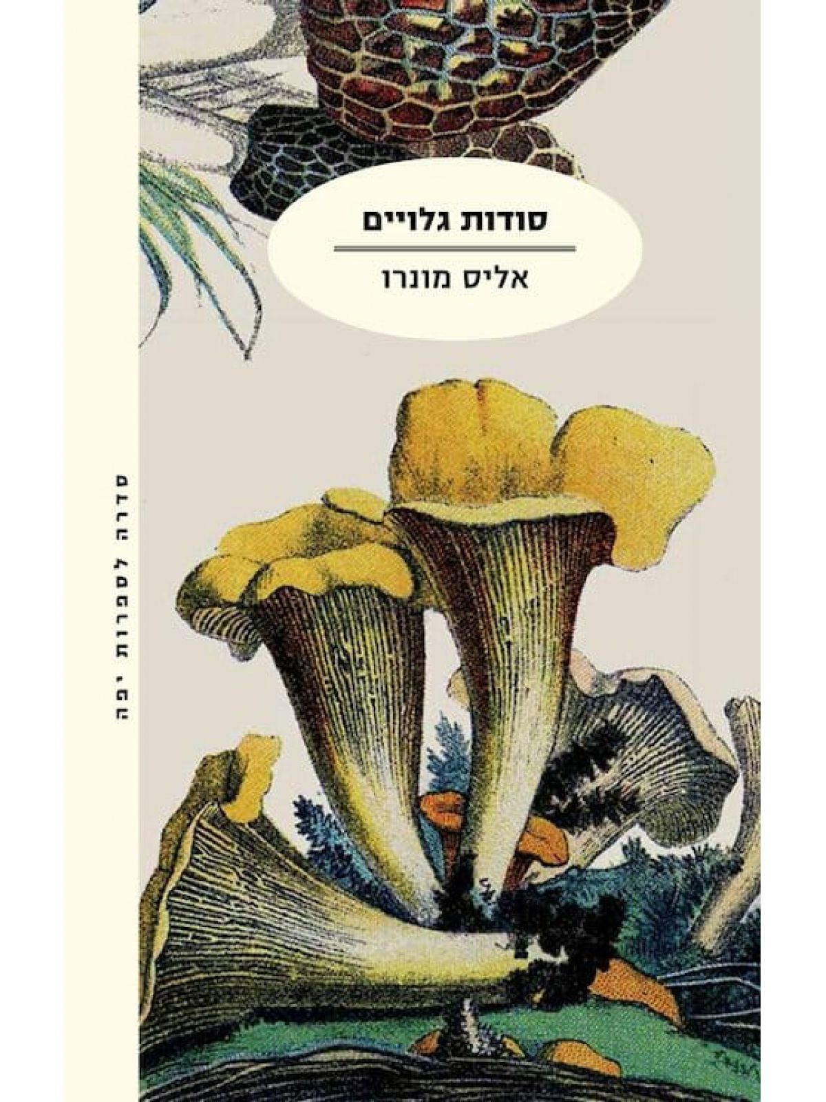 סודות גלויים מהדורה חדשה