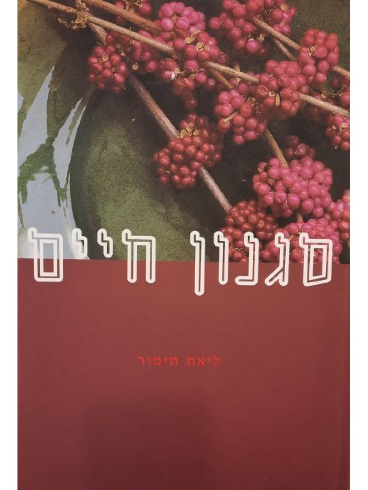 סגנון חיים