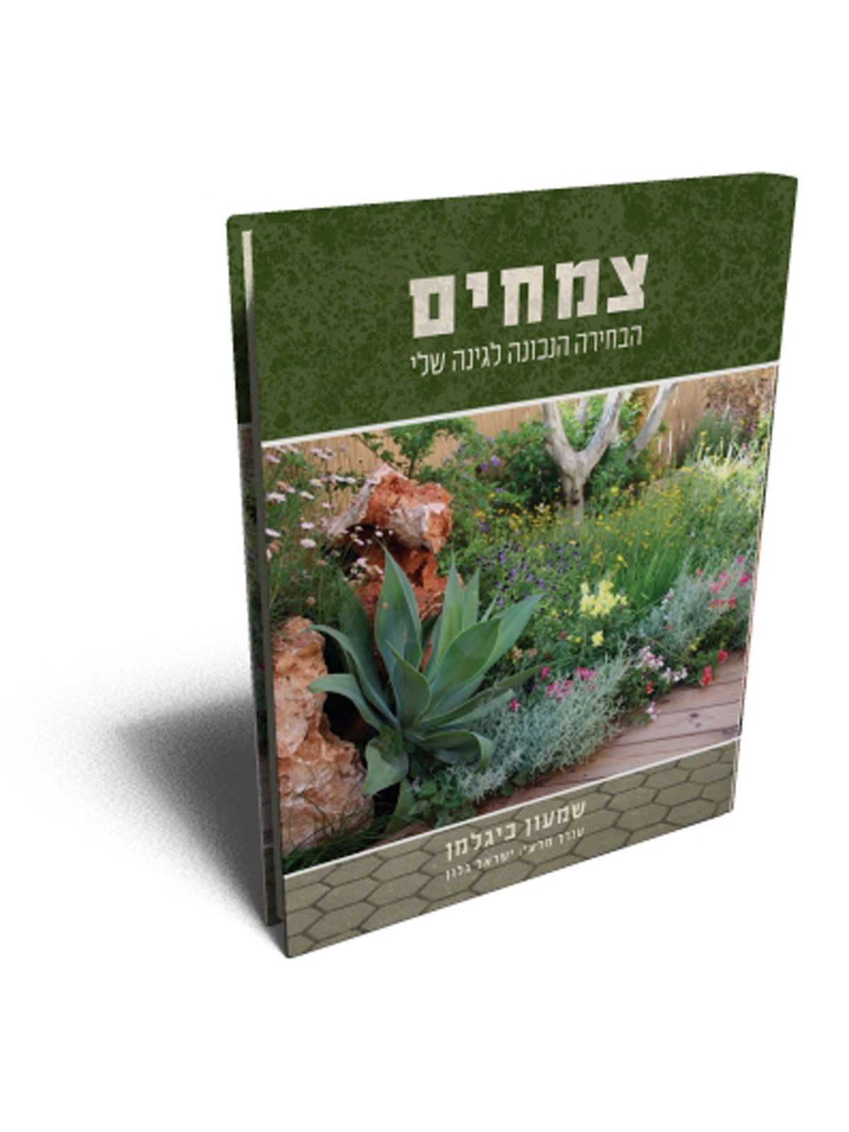 צמחים הבחירה הנכונה לגינה שלי