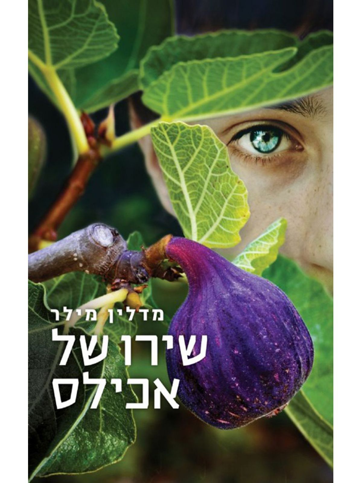 שירו של אכילס