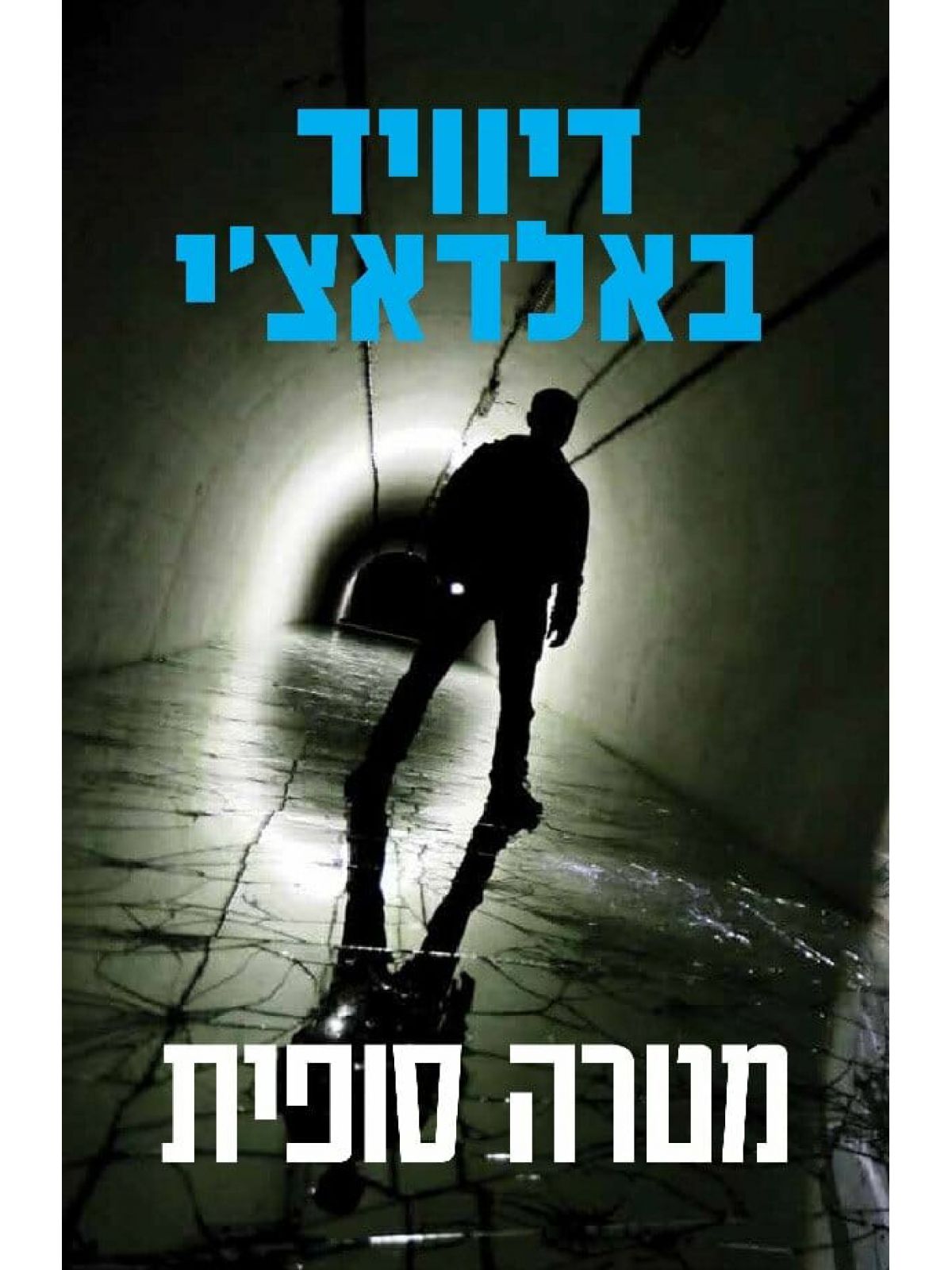 מטרה סופית