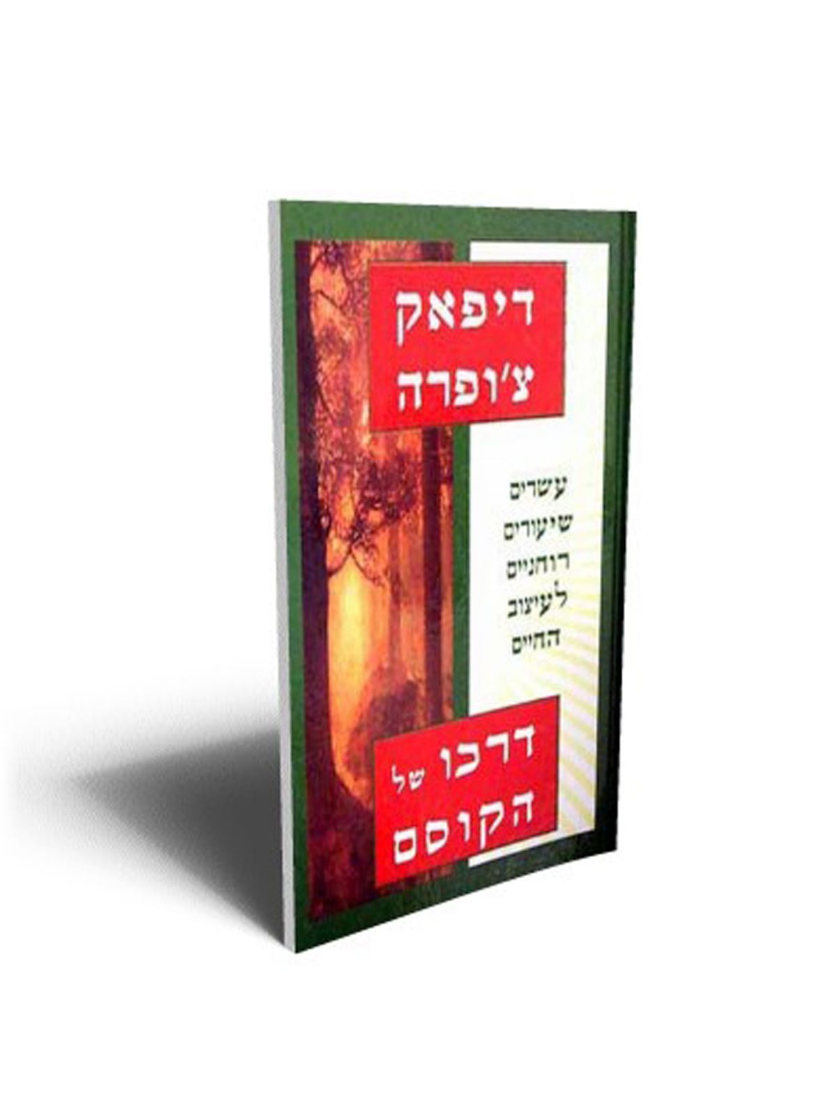 דרכו של הקוסם