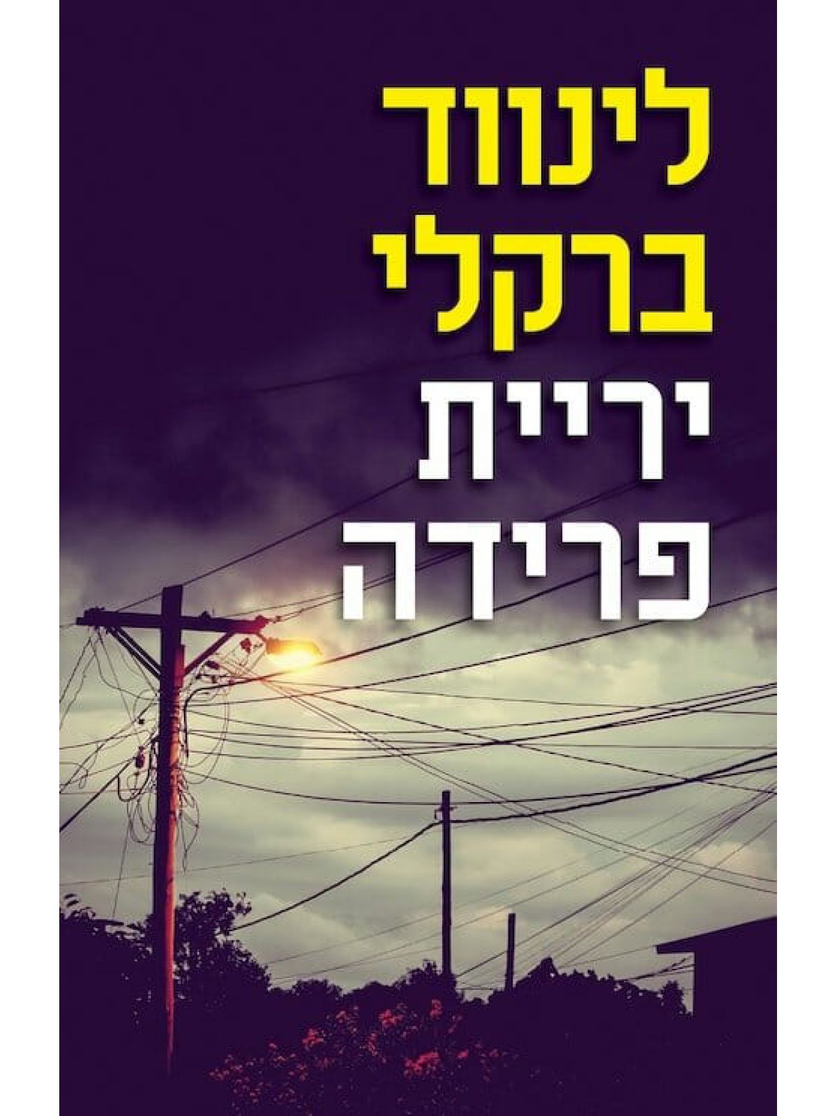 יריית פרידה