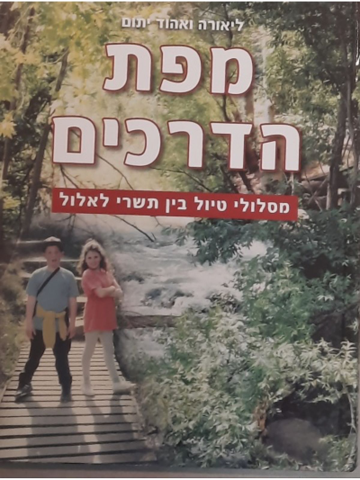 מפת הדרכים