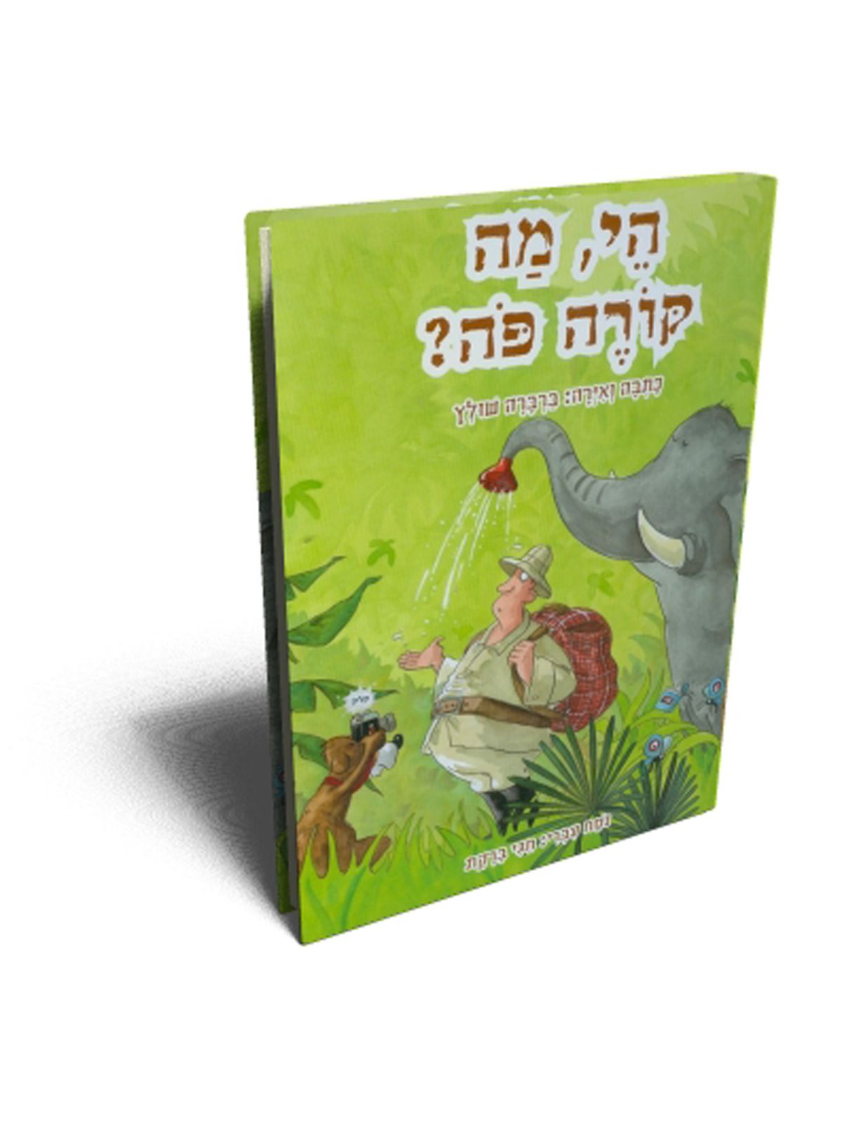הי  מה קורה פה?