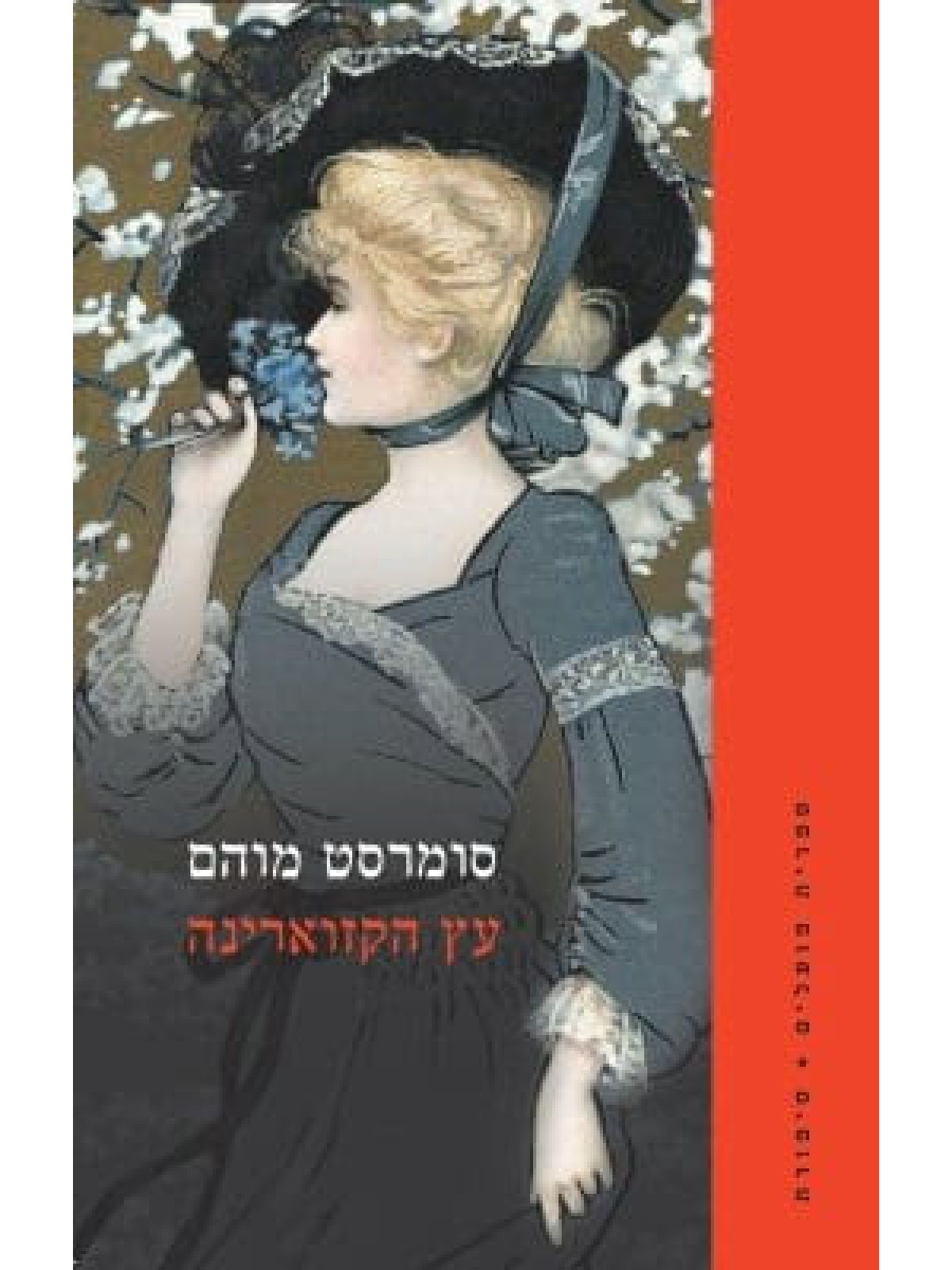 עץ הקזוארינה