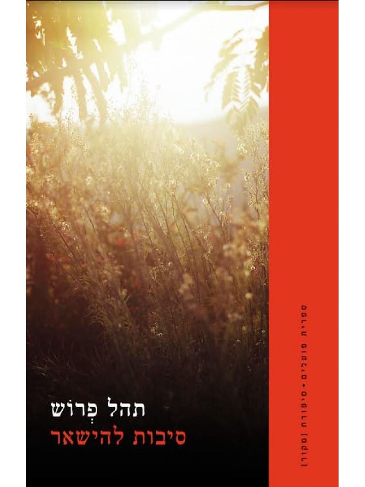 סיבות להישאר