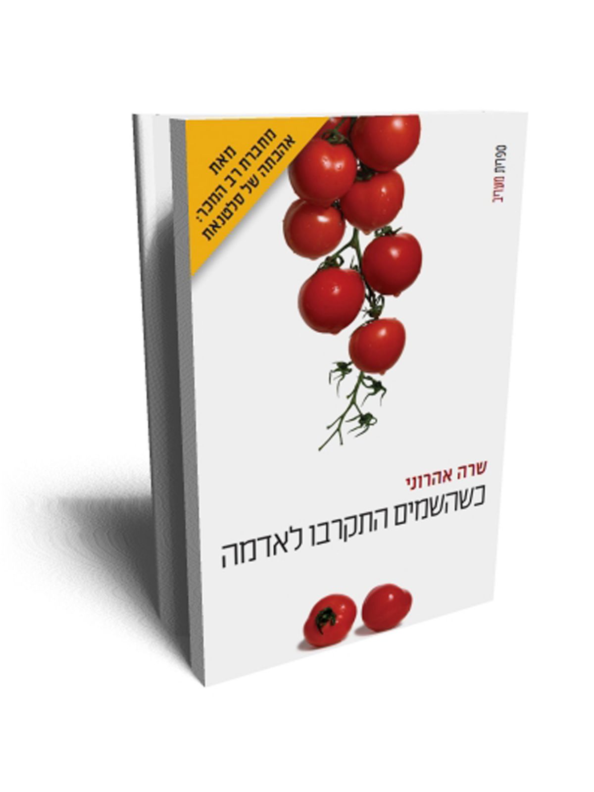 כשהשמים התקרבו לאדמה