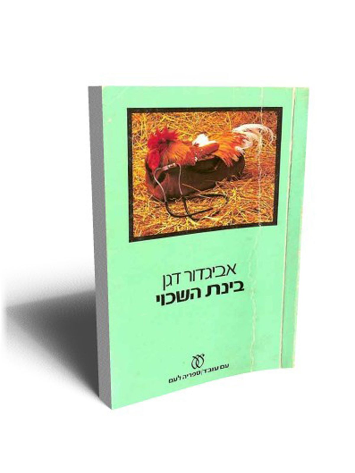 בינת השכוי מהד’ חדשה